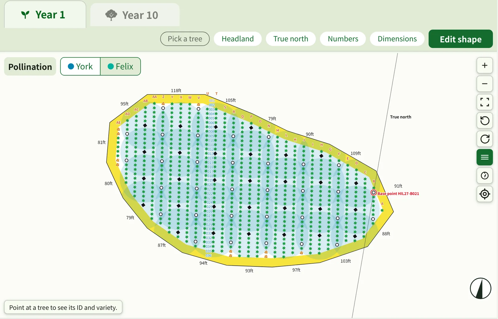 The field map. Producer trees and pollinizers fill a polygon-shaped site, and the area pollen can reach is shaded light blue.